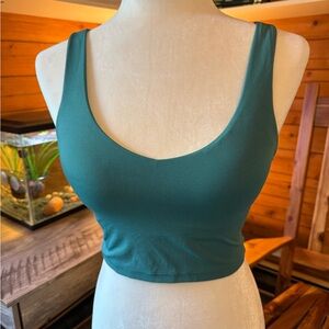 Aerie Teal Crop Top